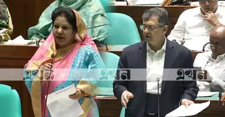 স্বরাষ্ট্রমন্ত্রী অলরাউন্ডার, সংসদের ড্যাশিং হিরো: সংসদে এমপি রেহানা